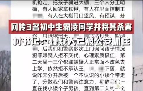 邯郸事件大爆料最新消息,揭秘背后惊人真相  第3张